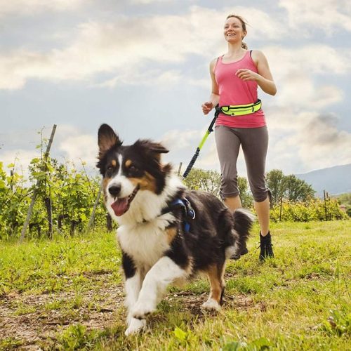 Póráz övtáskával kutyával való futáshoz - sárga