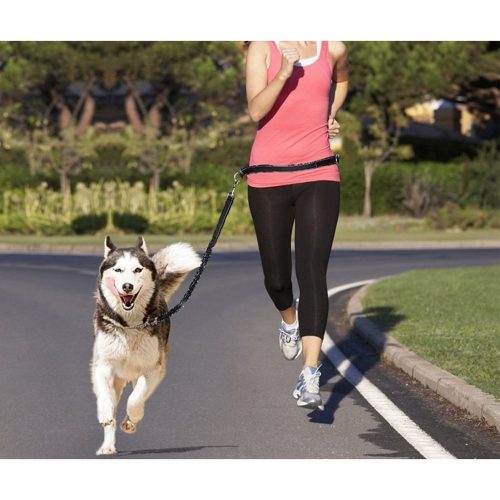 Póráz kutyával való futáshoz + deréköv