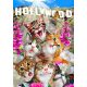 3D fa puzzle, Cats in Hollywood 150 darab