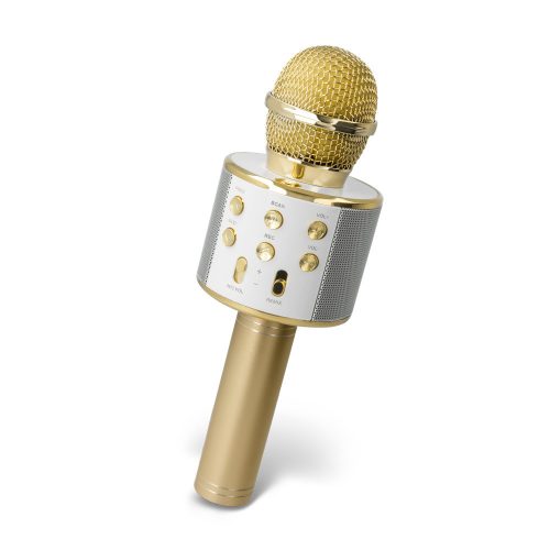 Mikrofon beépített Bluetooth hangszóróval Forever BMS-300 arany