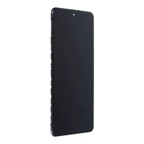 LCD Xiaomi Redmi Note 10 Pro 4G / Redmi Note 10 Pro Max