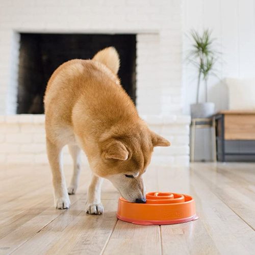 Evéslassító tál kutyáknak / macskáknak, narancssárga