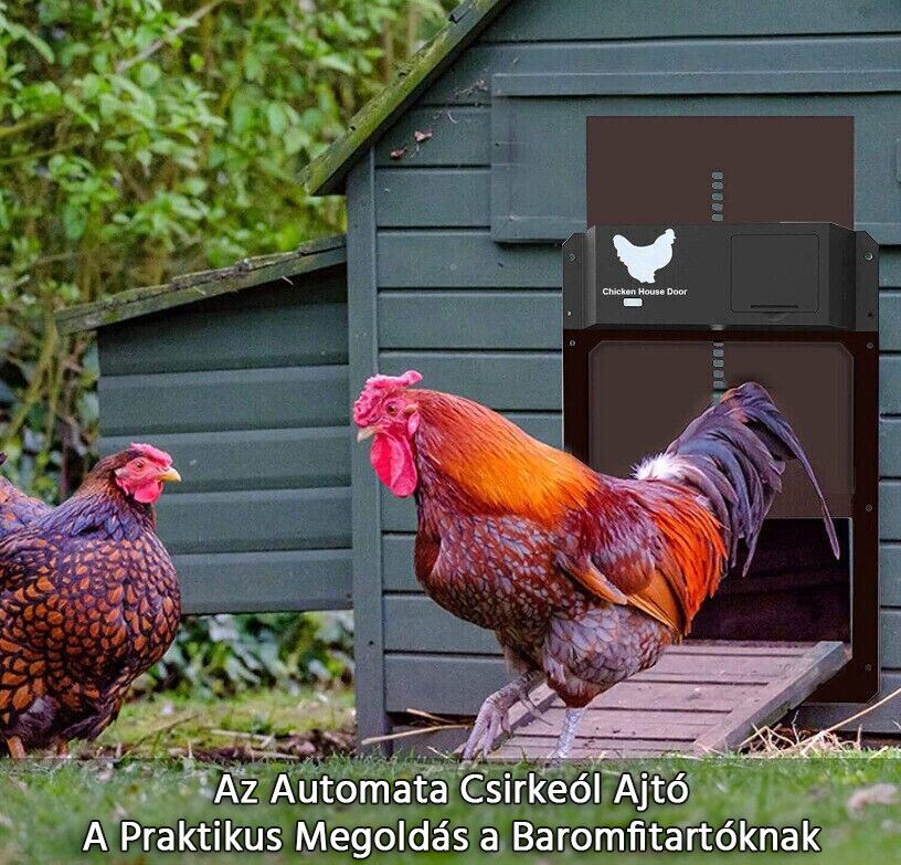Az Automata Csirkeól Ajtó: A Praktikus Megoldás a Baromfitartóknak
